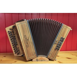 Accordéon diatonique...