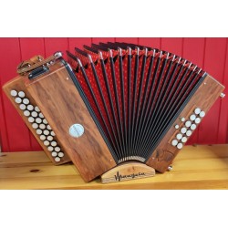 Accordéon diatonique...