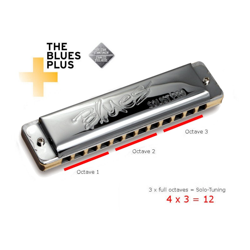 Magnifique Harmonica chromatique 12 trous !